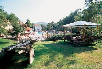 Pine Valley Hotel 11